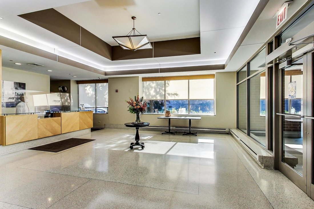 Condo in Chicago, Illinois, United States 4 - 16567008
