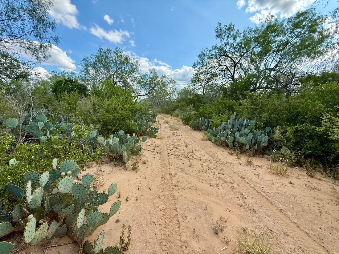 Farm Ranch in Dilley, Texas, United States 4 - 16401527