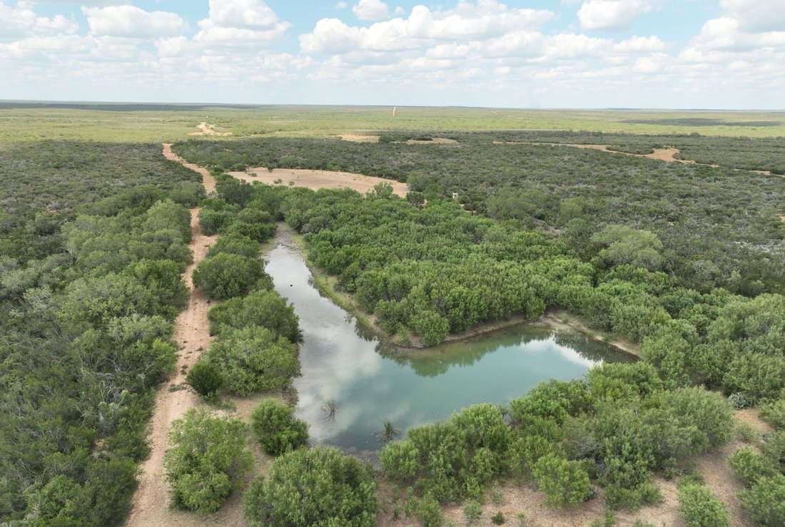 Farm Ranch in Dilley, Texas, United States 1 - 16401527