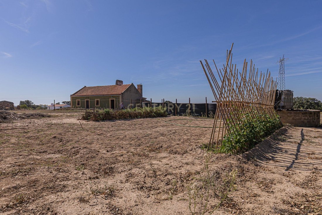 Land in Melides, Setubal, Portugal 4 - 16569649