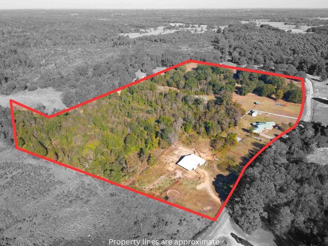 Farm Ranch in Pittsburg, Texas, United States 3 - 16573238