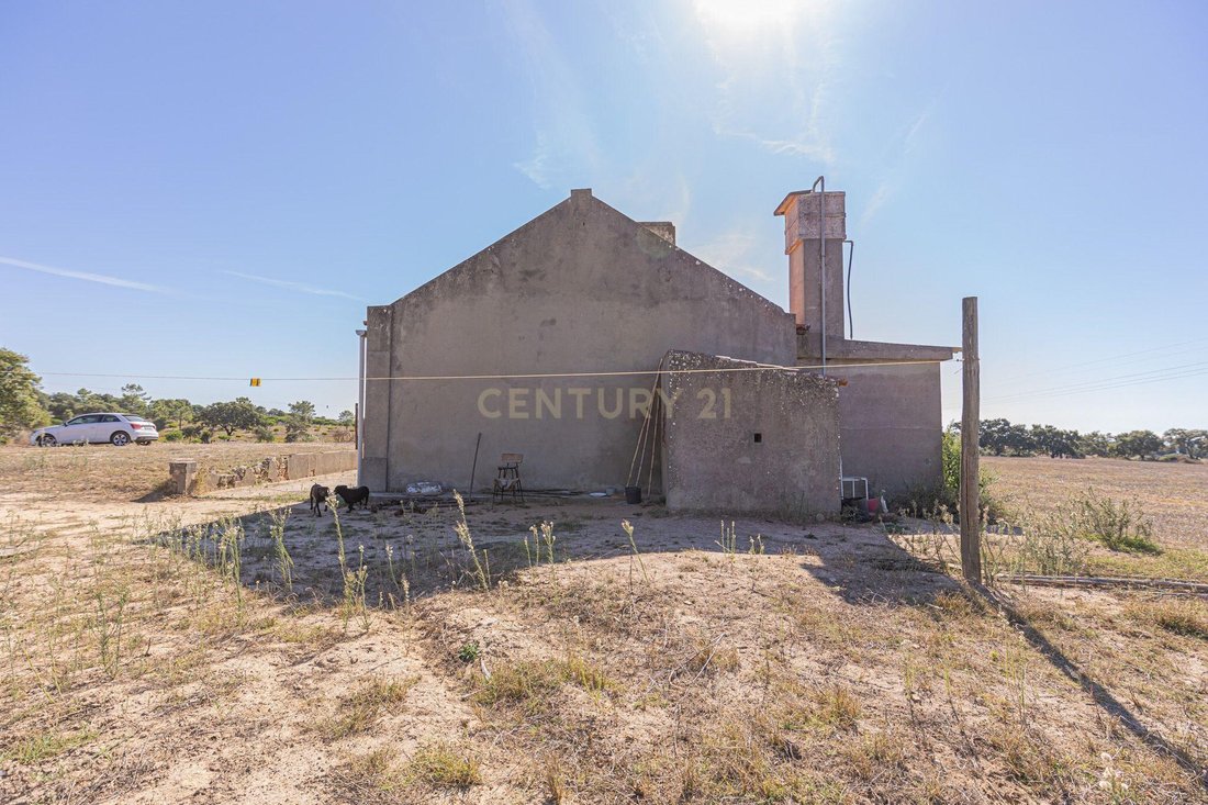 Land in Melides, Setubal, Portugal 5 - 16569649