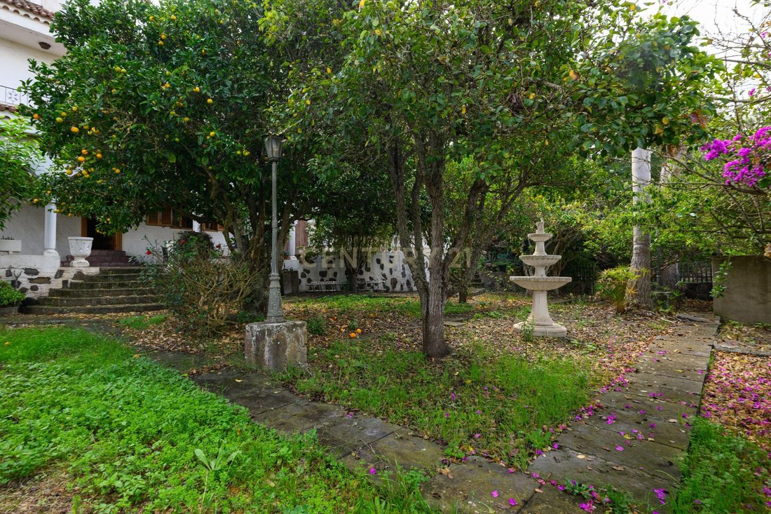 Villa in Teror, Canary Islands, Spain 5 - 16569643