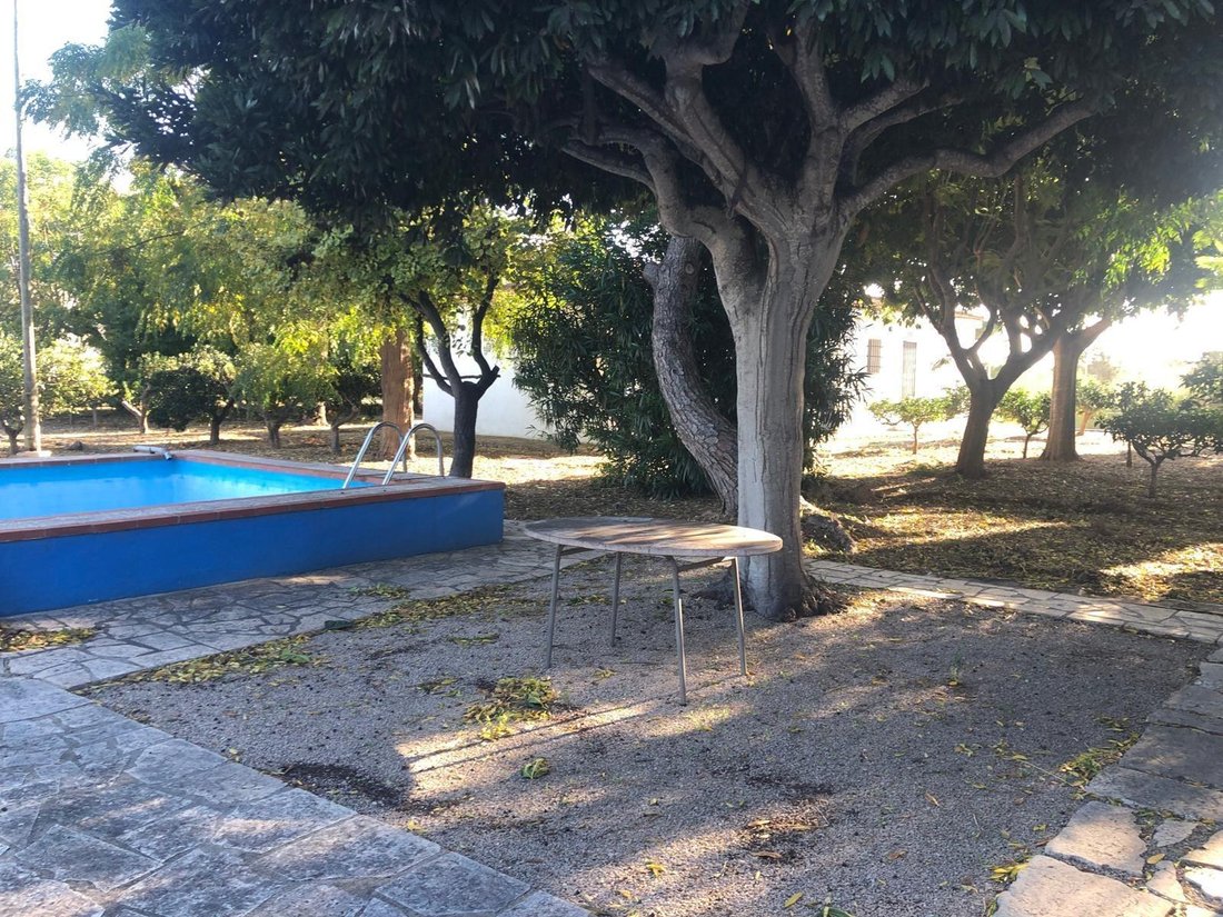 Villa in Vinaros, Valencian Community, Spain 2 - 16570701