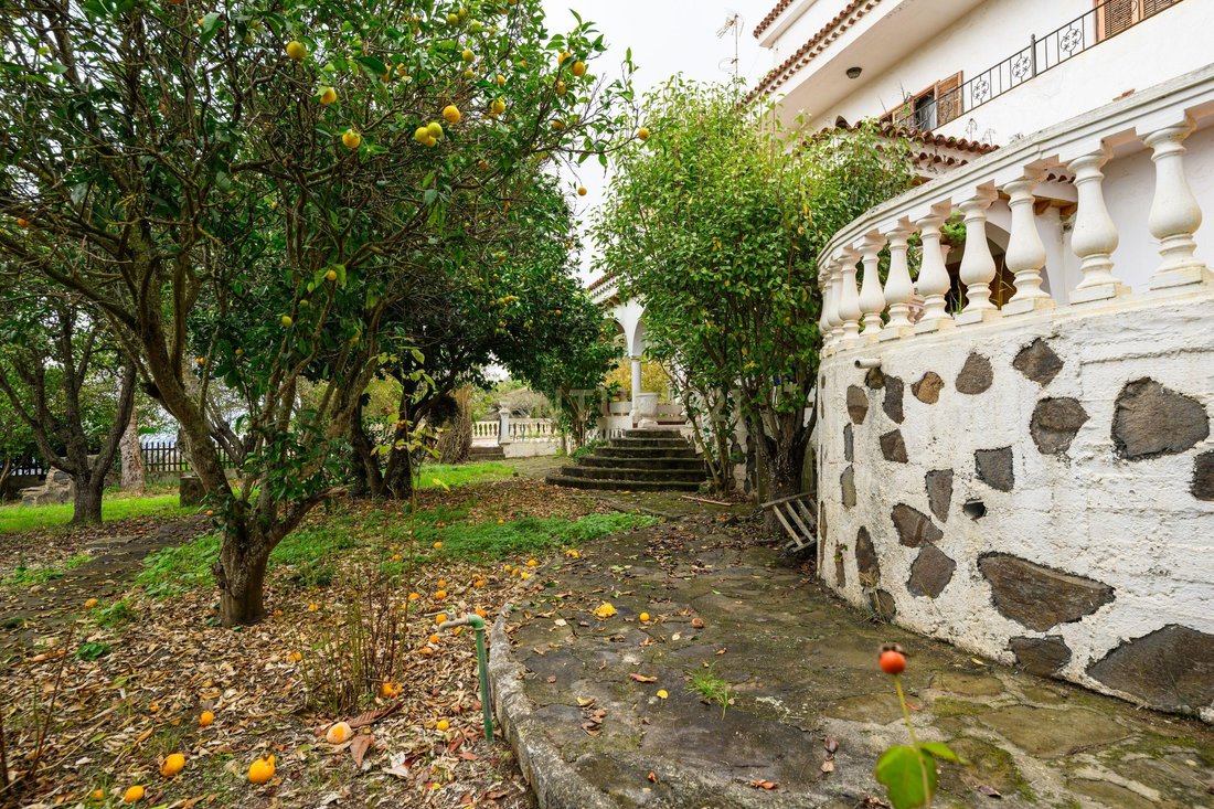 Villa in Teror, Canary Islands, Spain 4 - 16569643