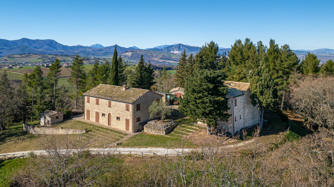 Estate in Cupramontana, Marche, Italy 1 - 16569437