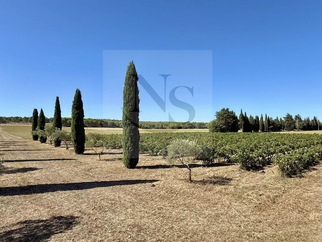 Farm Ranch in Grand Sud- Aix la Duranne, Aix-en-Provence, France 4 - 14775669