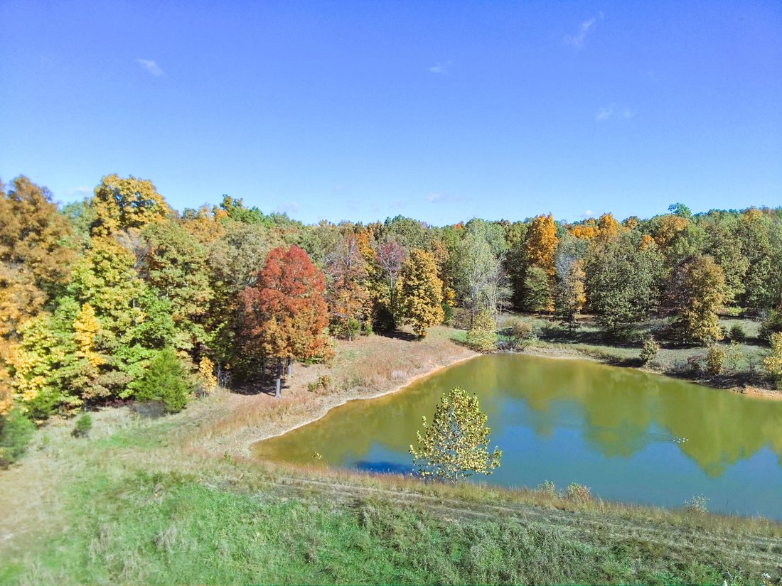 Farm Ranch in Gatewood, Missouri, United States 5 - 16403483