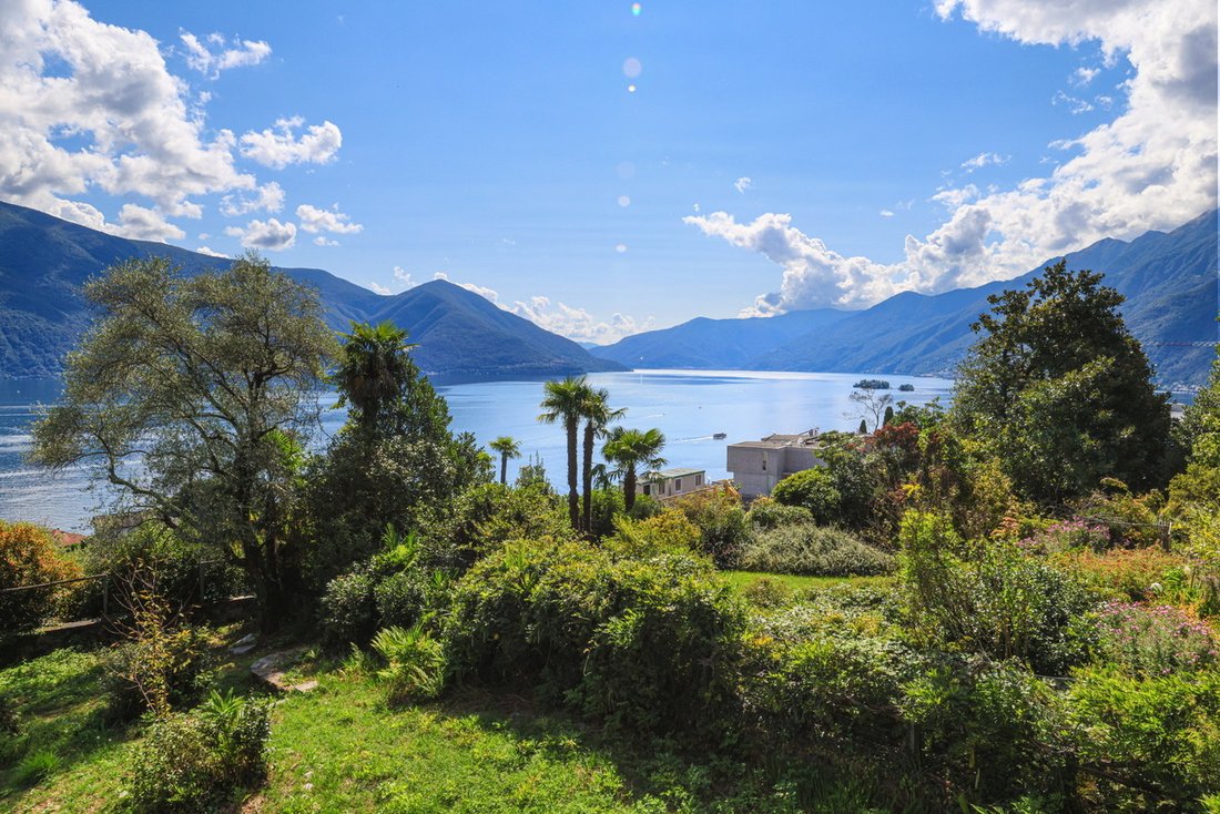 Haus in Ascona, Tessin, Schweiz 4 - 16572977