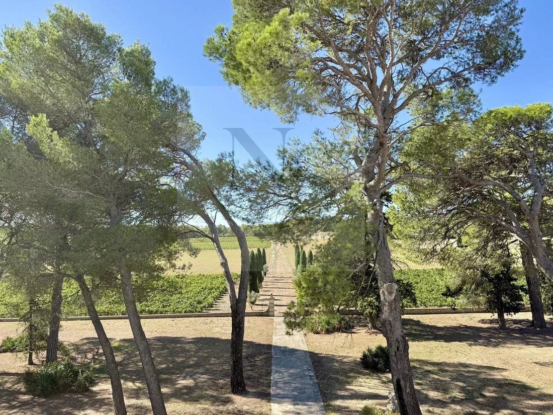 Farm Ranch in Grand Sud- Aix la Duranne, Aix-en-Provence, France 3 - 14775669