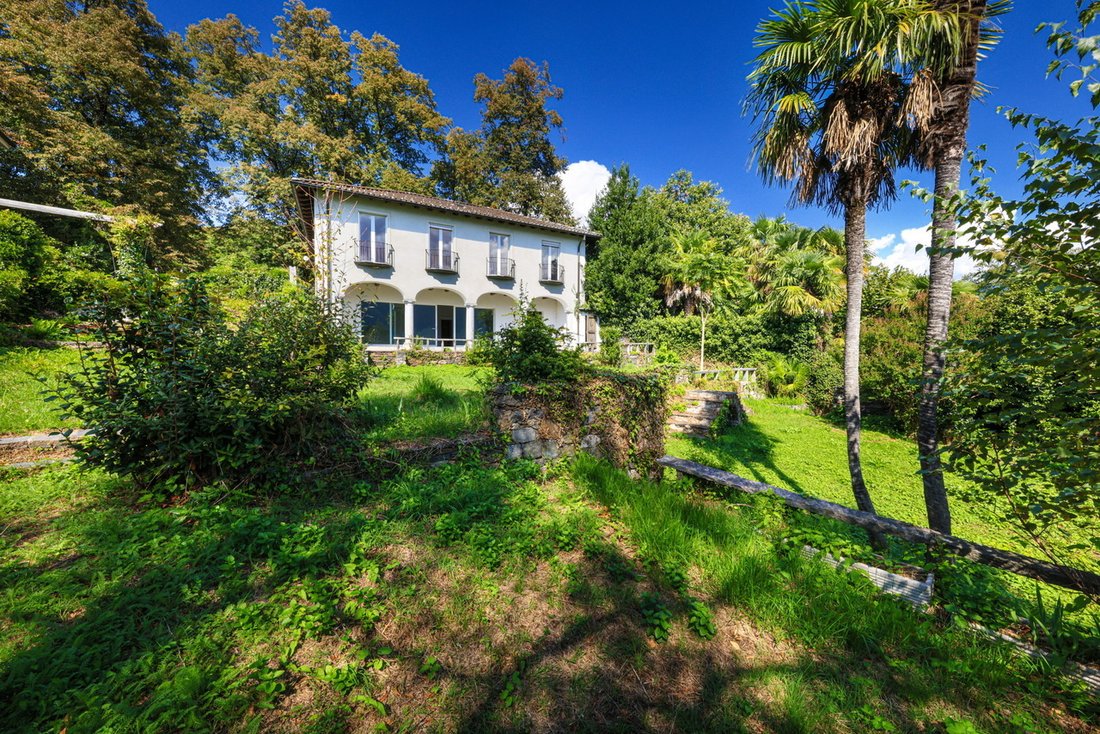 Haus in Ascona, Tessin, Schweiz 1 - 16572977
