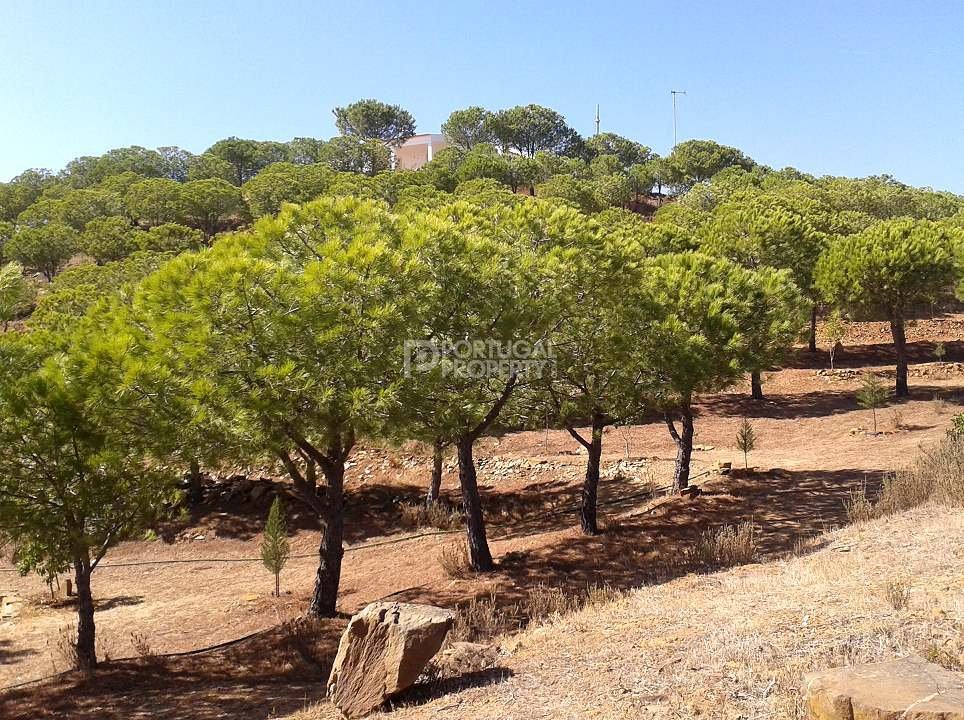 Villa in Tavira (Santa Maria e Santiago), Algarve, Portugal 5 - 16571033