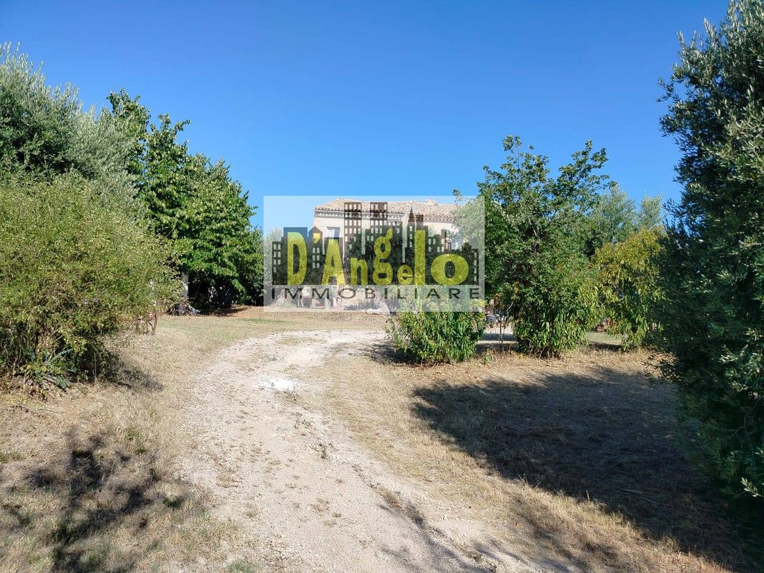 Country House in Offida, Marche, Italy 3 - 14527710