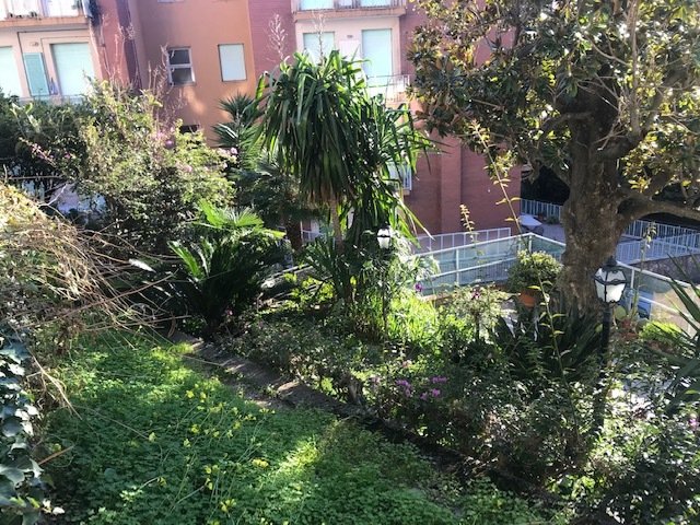 Apartment in Central Hill, Alassio, Liguria 5 - 16569080