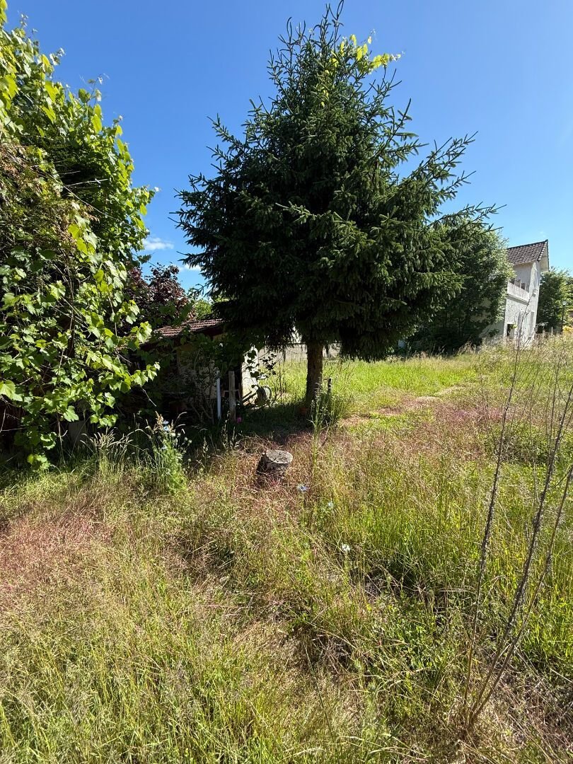 Land in L'Étang-la-Ville, Ile-de-France, France 4 - 16386763