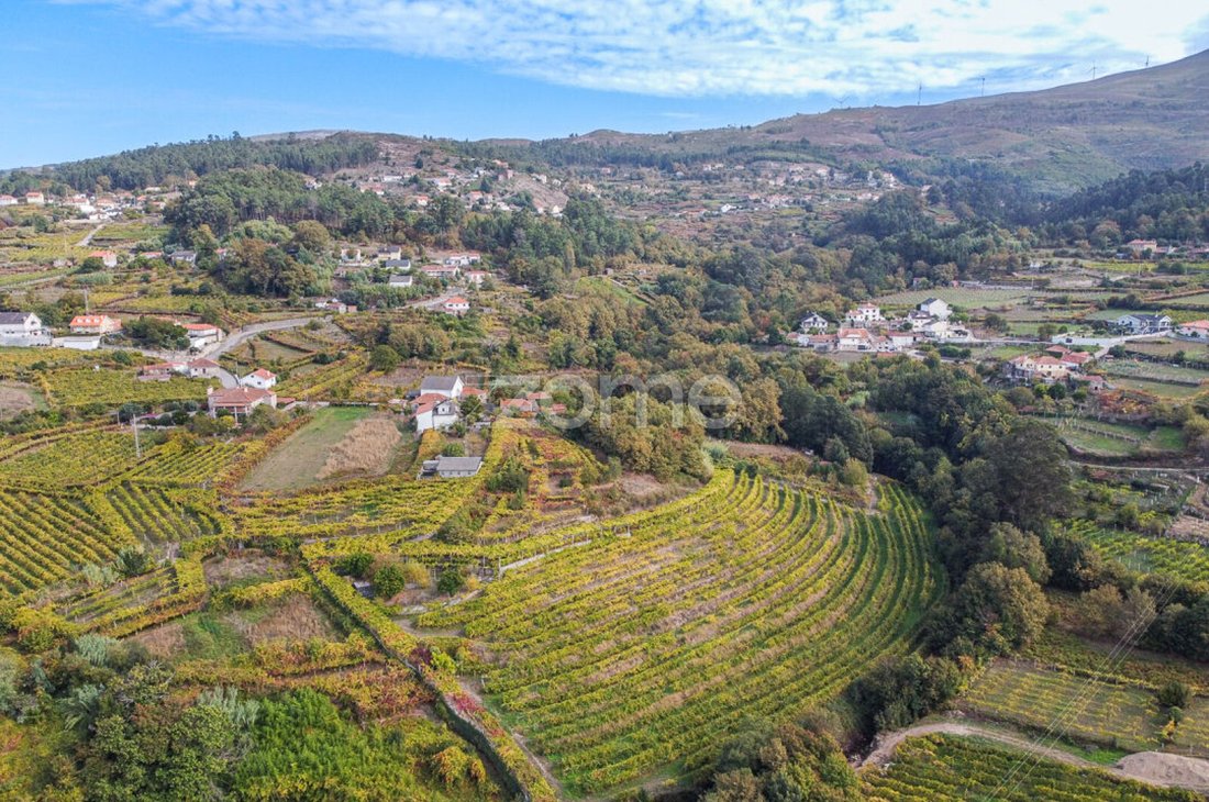 Finca in Vila e Roussas, Viana do Castelo District, Portugal 4 - 16571527