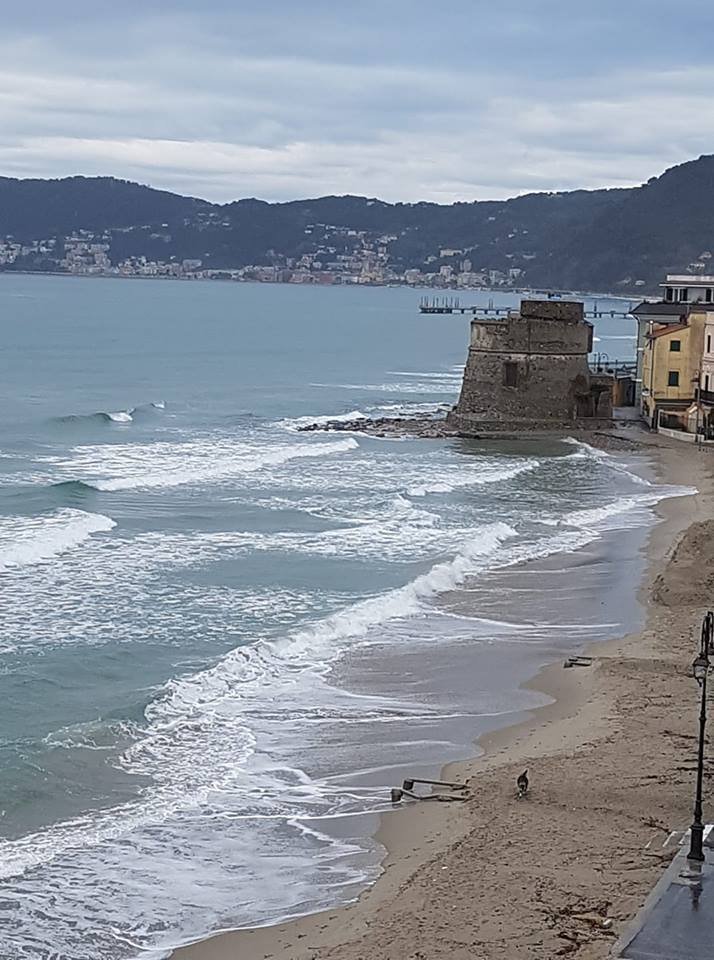 Apartment in Center, Alassio, Italy 3 - 16568757