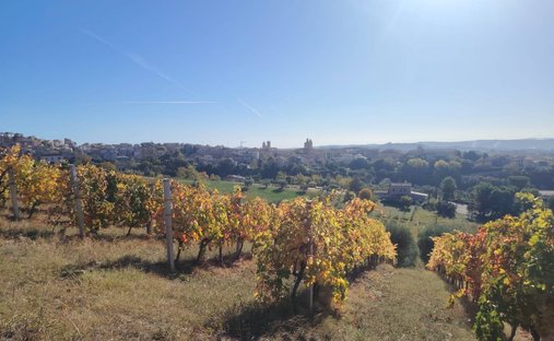 Country House in Offida, Marche, Italy 1