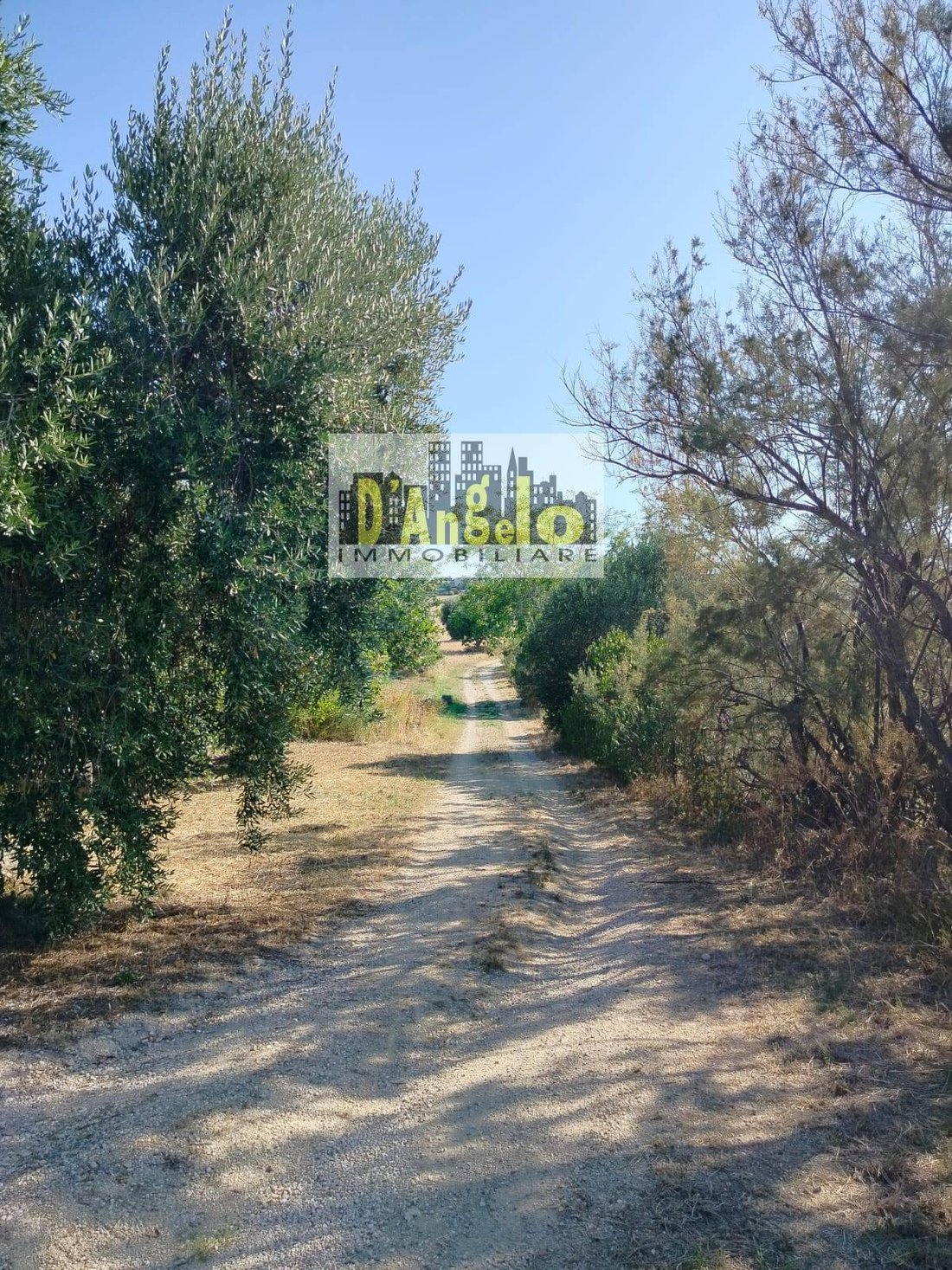 Country House in Offida, Marche, Italy 2 - 14527710