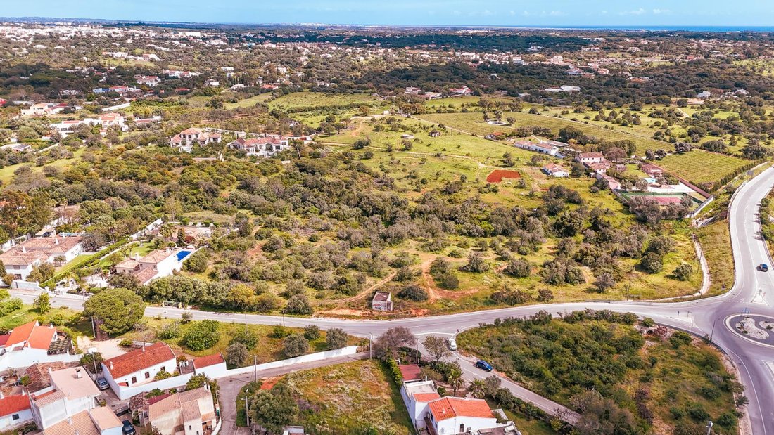 Quarteira, Algarve, Portugal 1 - 16573185