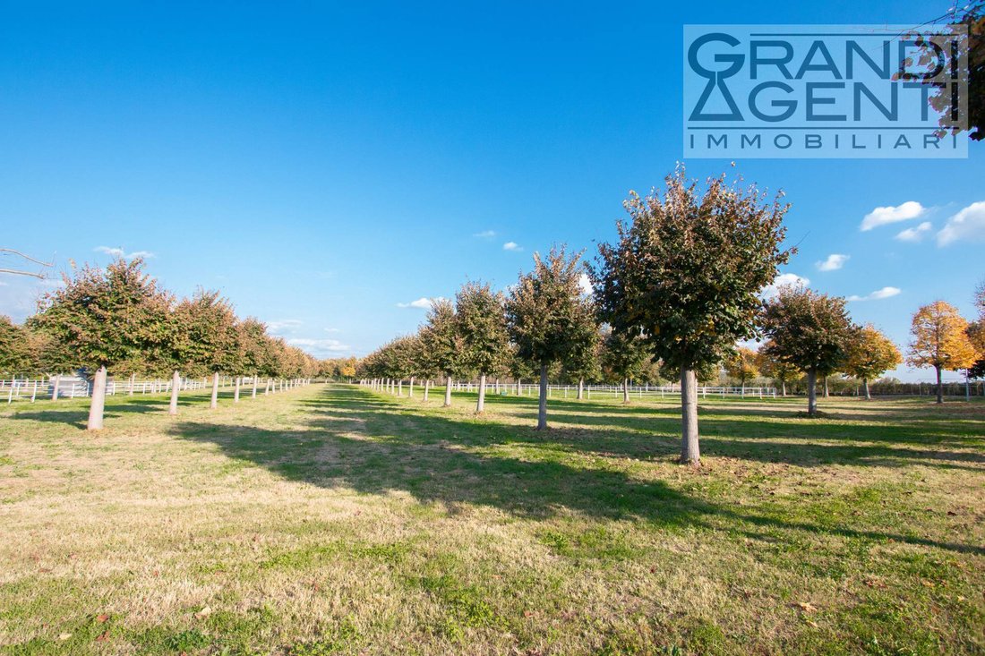 Farm Ranch in Bussolengo, Veneto, Italy 5 - 16571589