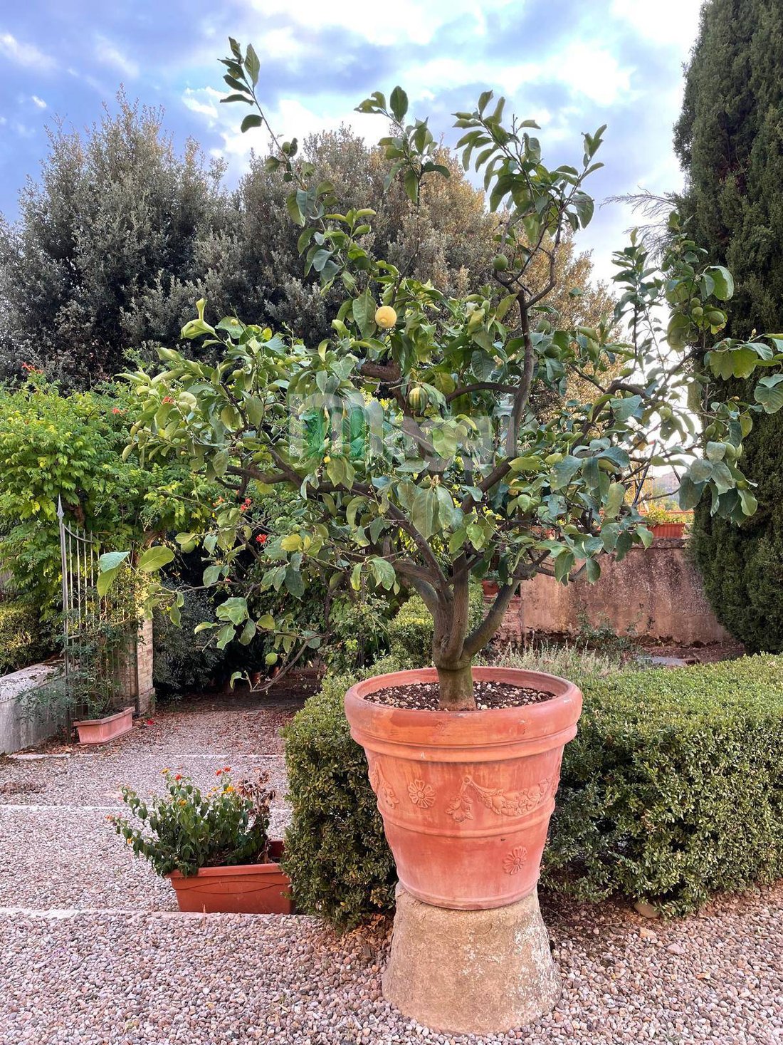 Villa in Scacciapensieri - Vico Alto, Siena, Tuscany 3 - 16570727
