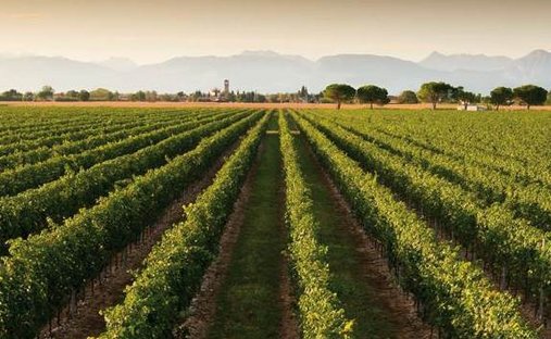 Land in City Center, Conegliano, Veneto 1