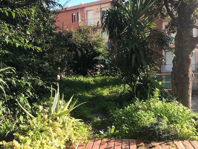 Apartment in Central Hill, Alassio, Liguria 4 - 16569080