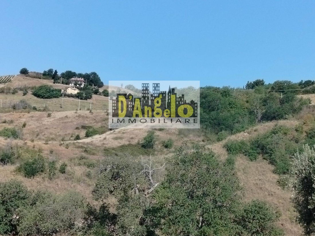 Country House in Offida, Marche, Italy 5 - 14527710
