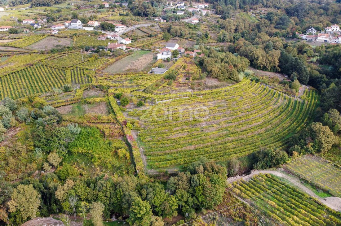 Finca in Vila e Roussas, Viana do Castelo District, Portugal 5 - 16571527