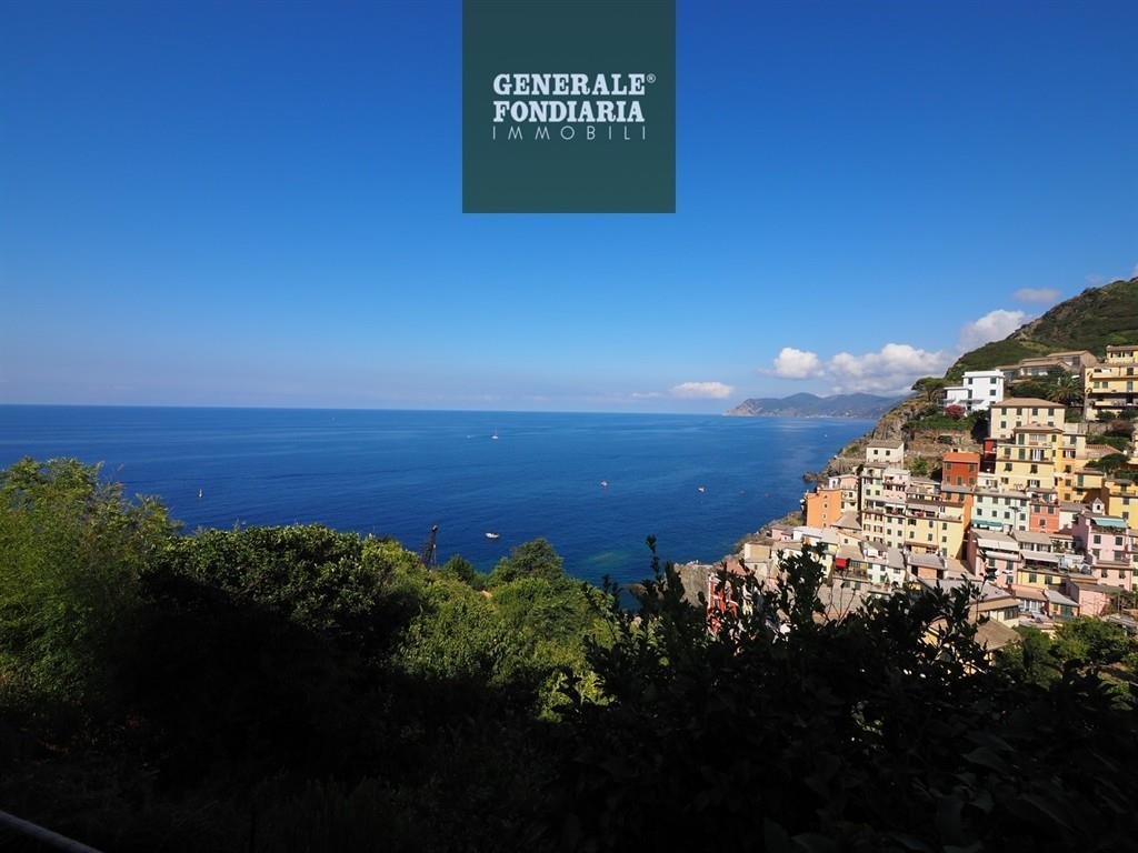 Apartment in Riomaggiore, Liguria, Italy 1 - 16575718