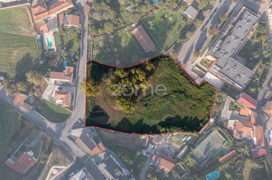 Land in Oliveira do Douro, Porto District, Portugal 4 - 16578619