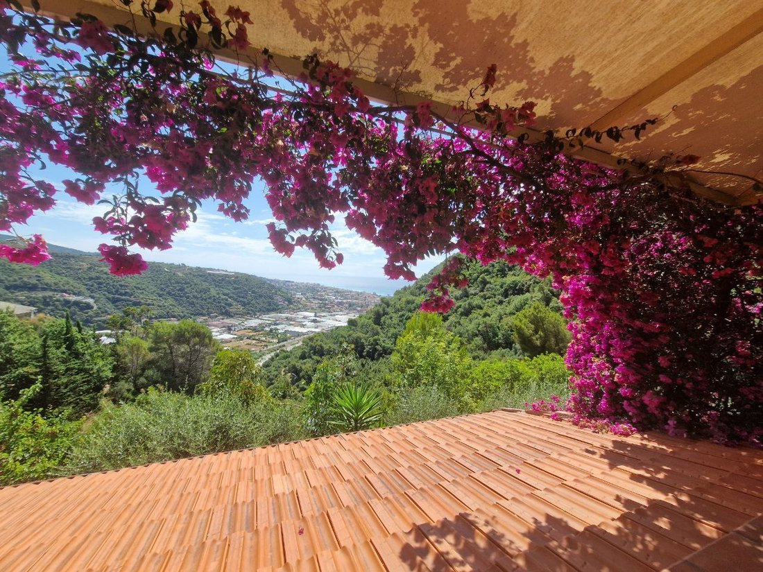 House in Camporosso, Liguria, Italy 2 - 16575900