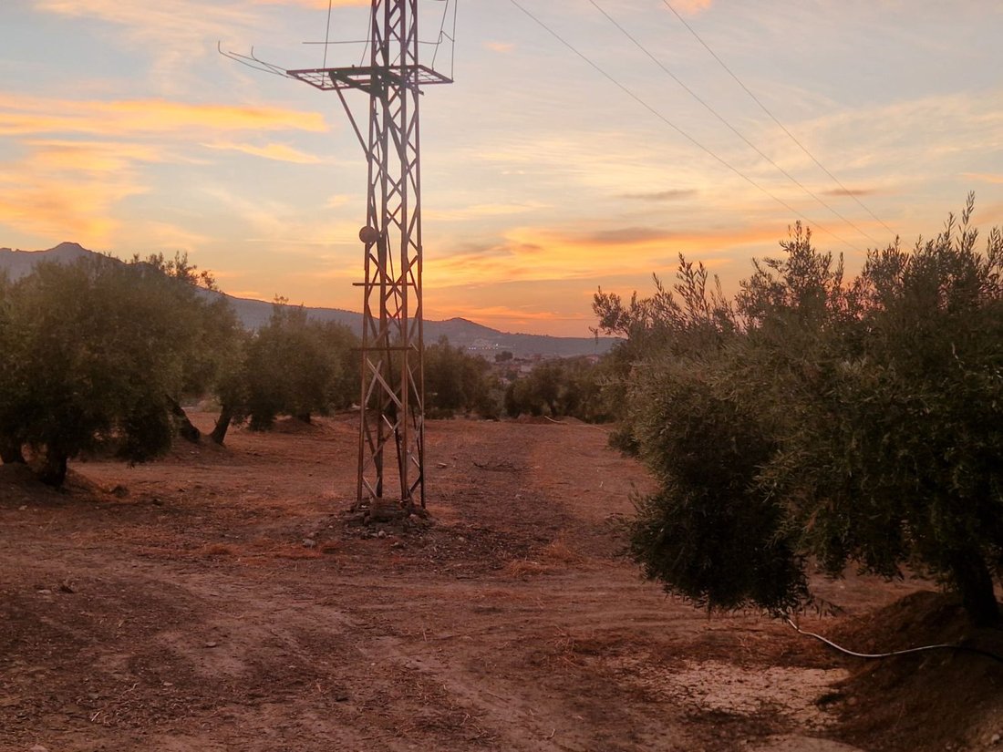Terrain à Jaén, Andalousie, Espagne 2 - 16575132