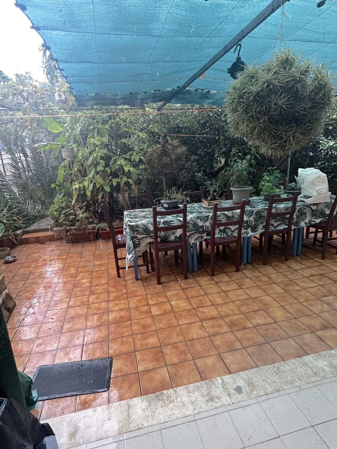 Apartment in Rotes Velles, Calvia, Balearic Islands 2 - 16575130