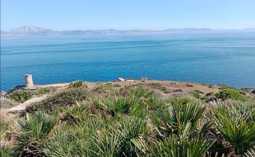 Corps de ferme à Tarifa, Andalousie, Espagne 1