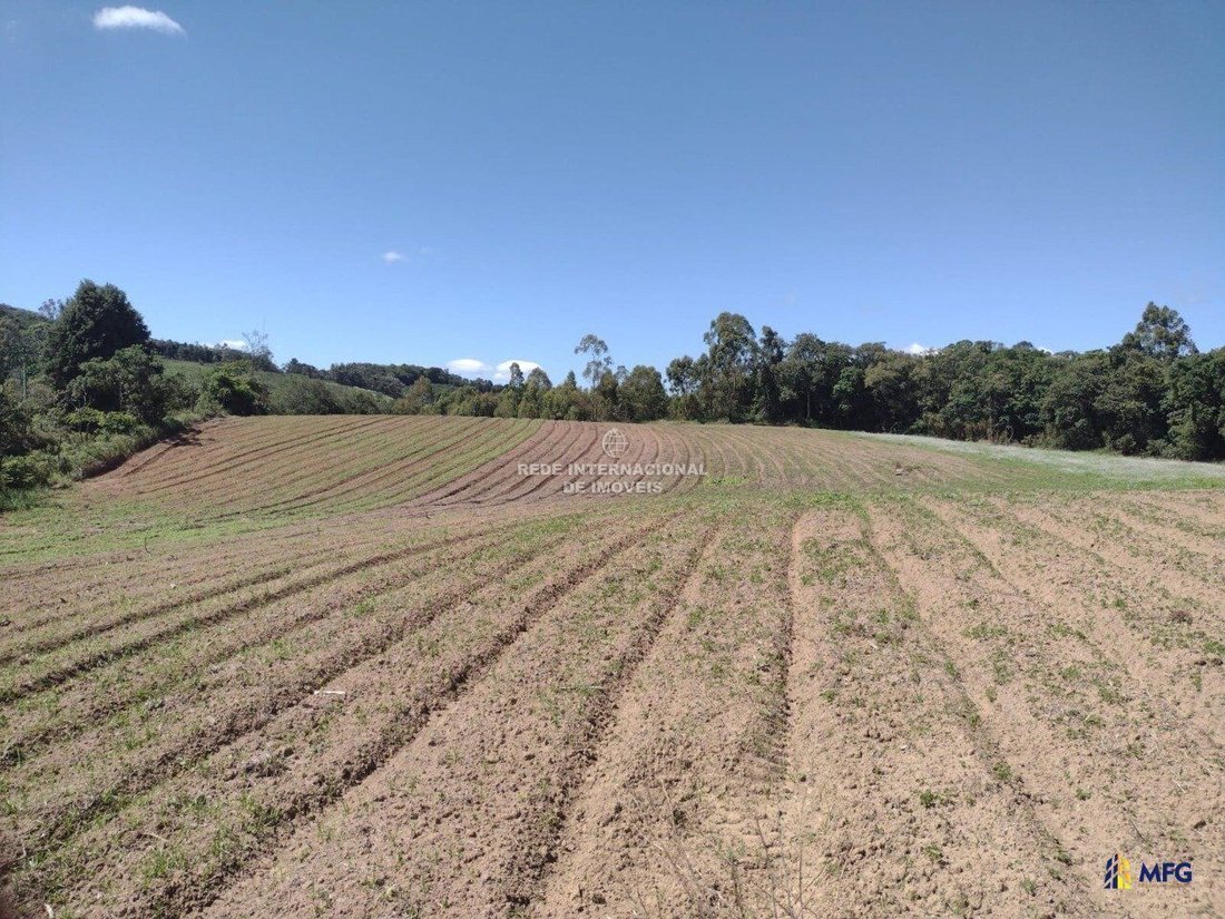 Farm Ranch in Piedade, State of São Paulo, Brazil 5 - 16576574