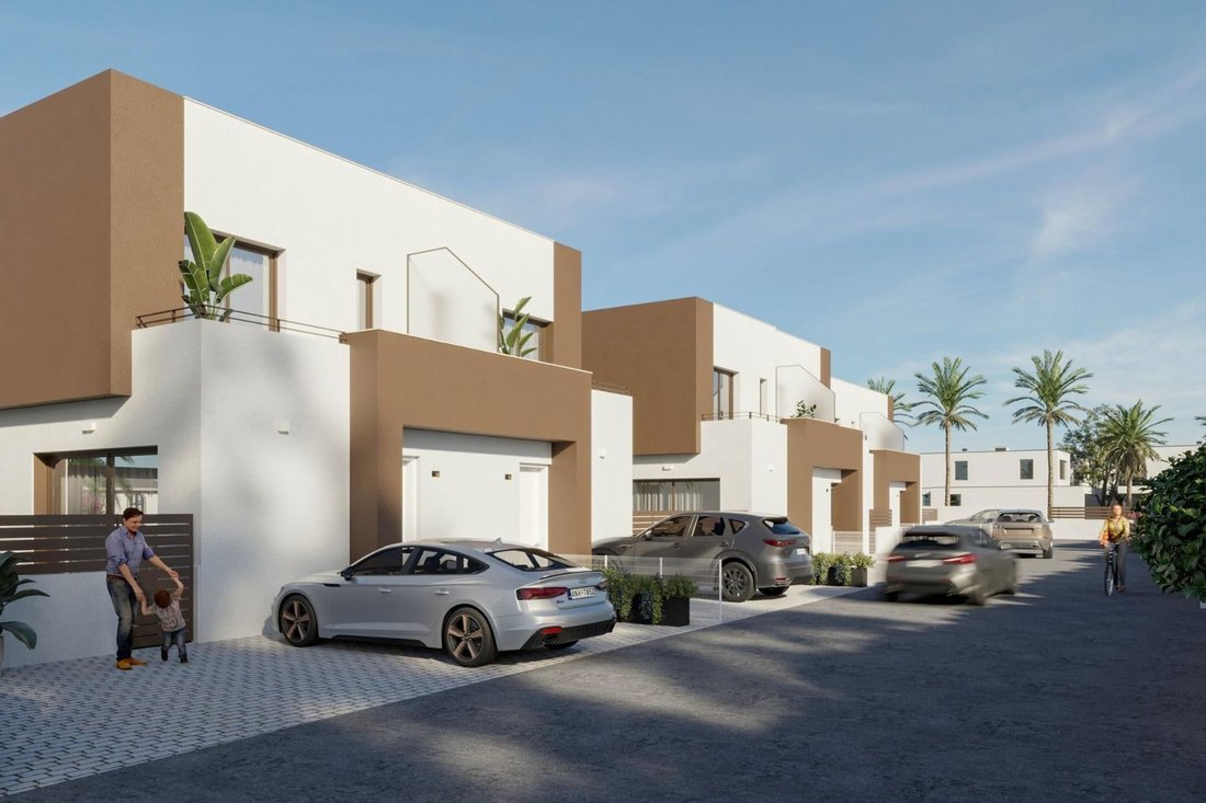 Villa in Elx / Elche, Valencian Community, Spain 3 - 16576463