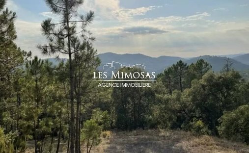 Land in Partie Sud-Collet-Redon-Vauses-Testavins, Le Muy, France 1