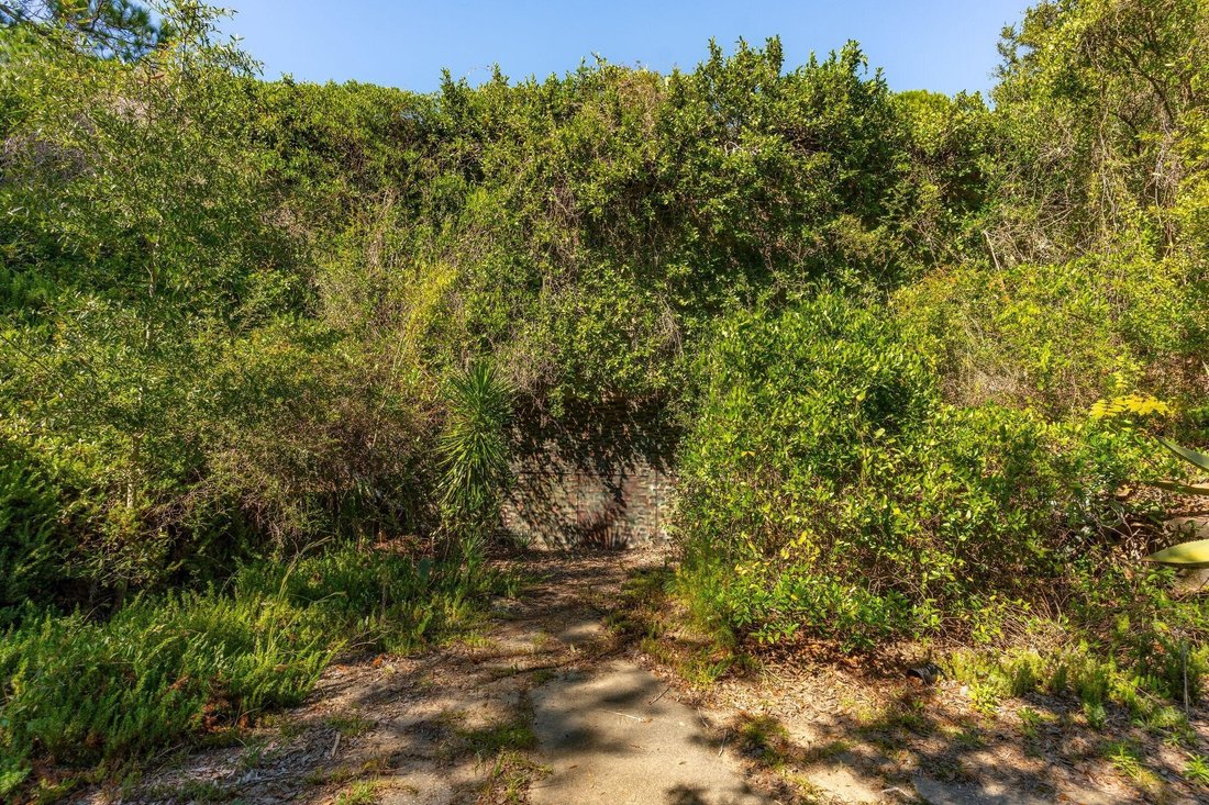 Sullivan's Island, South Carolina, United States 3 - 16578984
