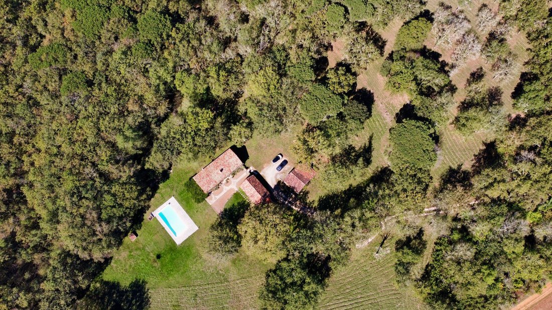 Estate in Mauzac-et-Grand-Castang, Nouvelle-Aquitaine, France 3 - 16577853