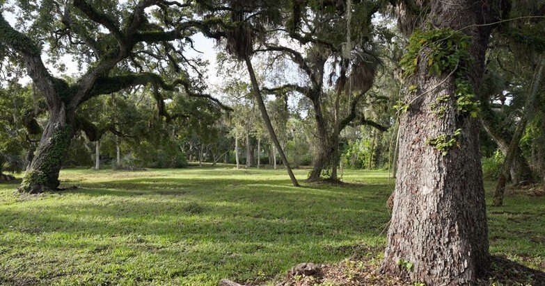 Terrain à Vero Beach, Floride, États-Unis 5 - 16570148