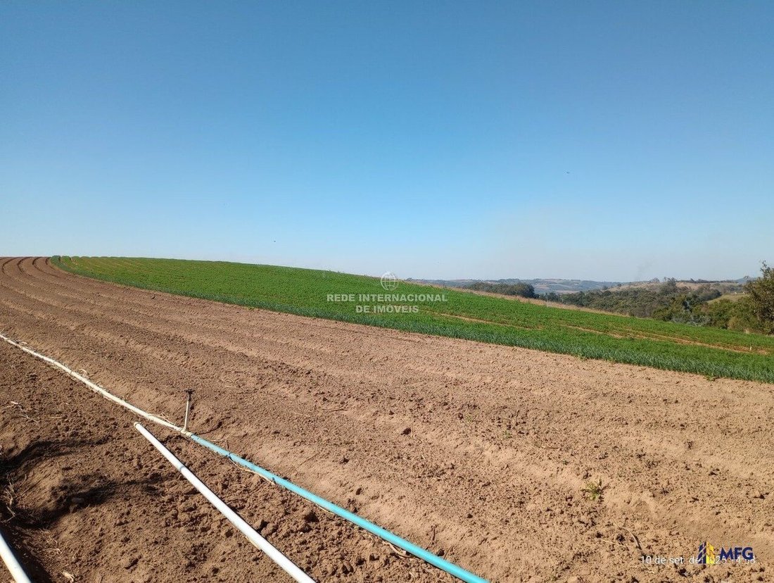 Farm Ranch in Piedade, State of São Paulo, Brazil 4 - 16576574