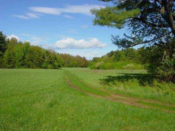 Land in Favaro-Tessera, Venice, Veneto 1 - 16575876