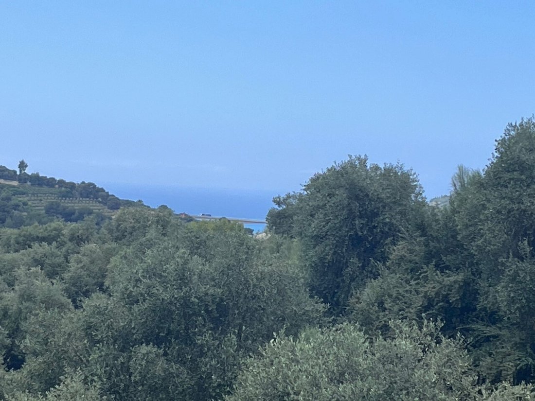 House in Vallebona, Liguria, Italy 1 - 16575632