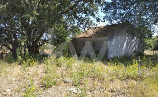 Land in Milharado, Lissabon, Portugal 1