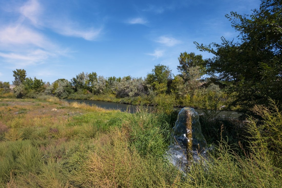 Montrose, Colorado, United States 3 - 16575284