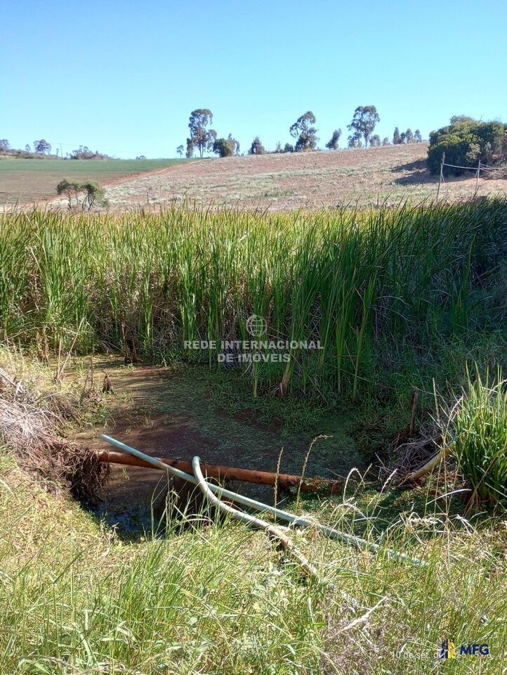 Farm Ranch in Piedade, State of São Paulo, Brazil 2 - 16576574