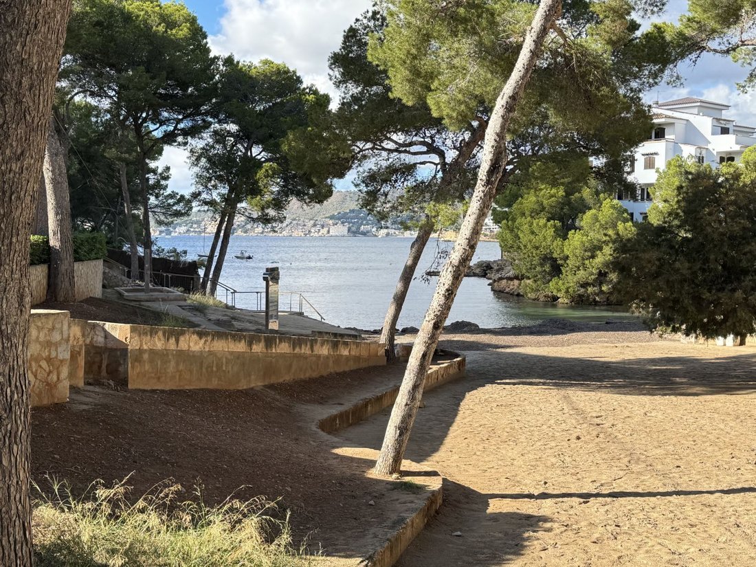 Apartment in Rotes Velles, Calvia, Balearic Islands 3 - 16575130