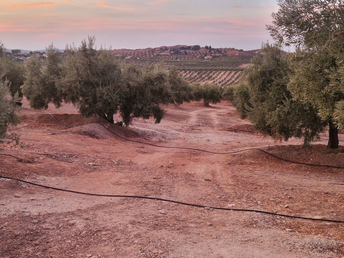 Terrain à Jaén, Andalousie, Espagne 3 - 16575132
